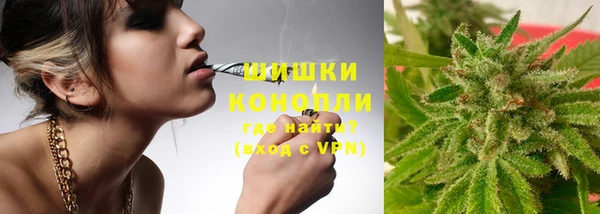 сатива Наволоки