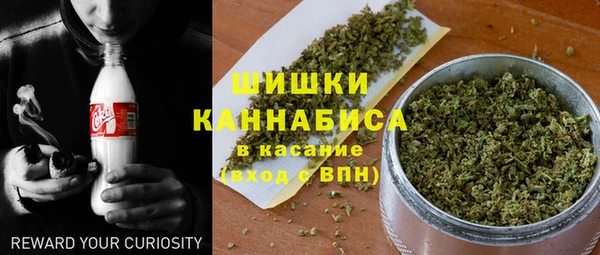 ГАЛЛЮЦИНОГЕННЫЕ ГРИБЫ Надым