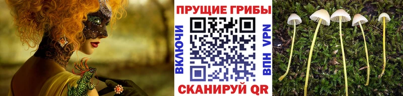 Псилоцибиновые грибы MAGIC MUSHROOMS  Иркутск 